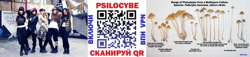 хочу наркоту  Лиски  блэк спрут рабочий сайт  Псилоцибиновые грибы мицелий 